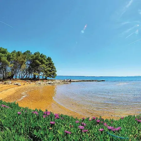 1 Bedroom Beautiful In * Vir